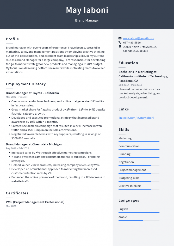 brand manager resume examples