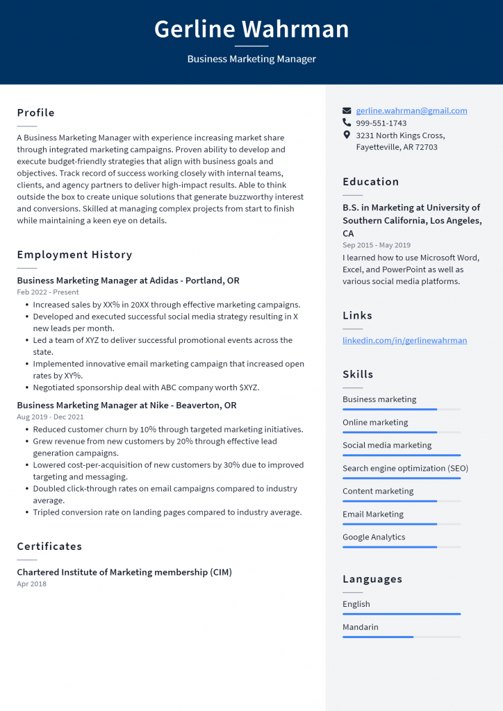 Business Marketing Manager Resume Example