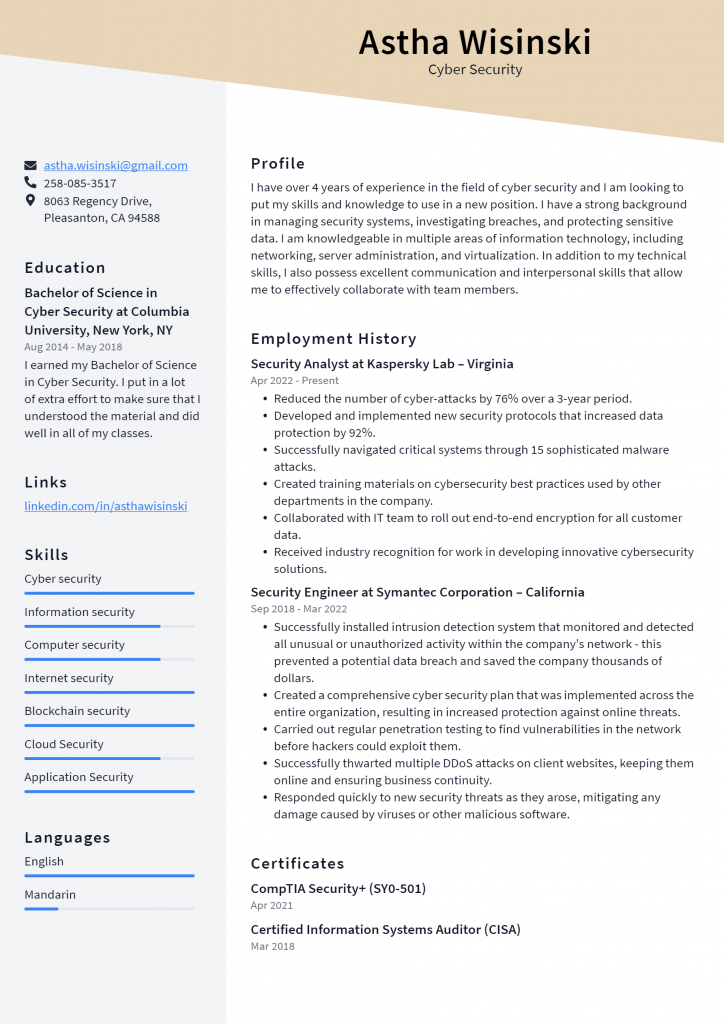 Cyber Security Resume Example