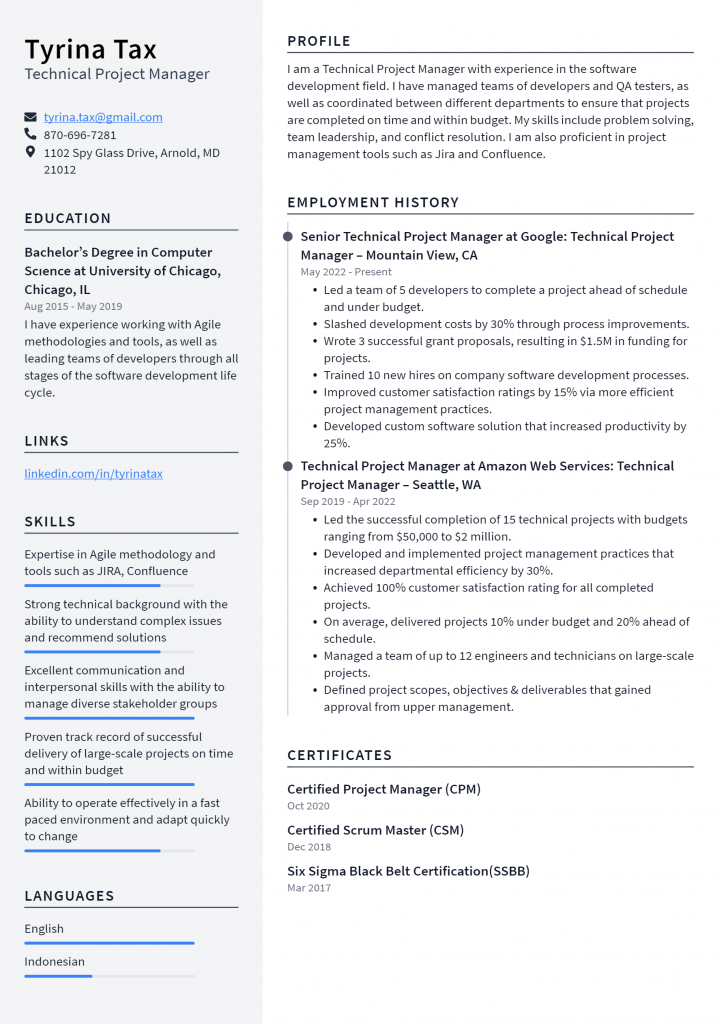 Technical Project Manager Resume Example